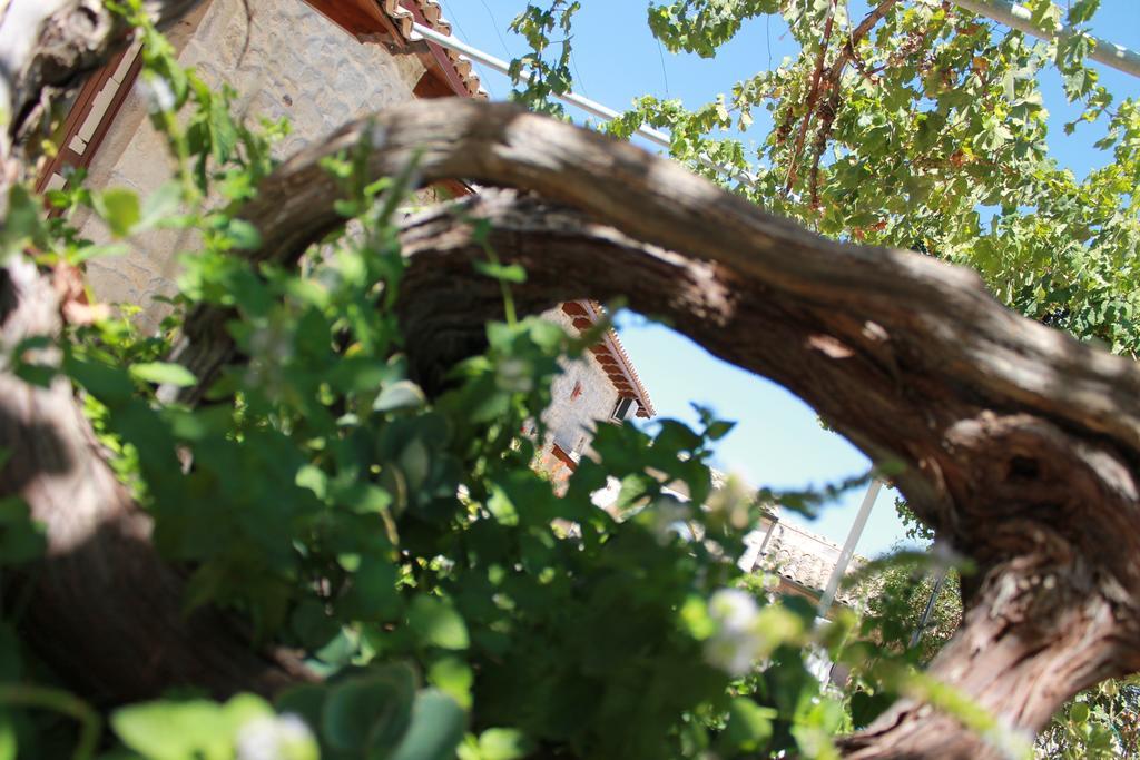 Agriturismo Le Due Palme Il Paradiso di Adamo Frigintini Esterno foto