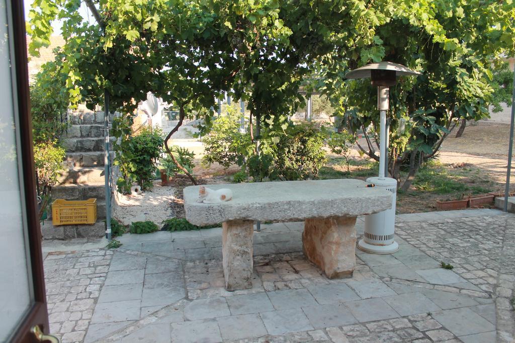 Agriturismo Le Due Palme Il Paradiso di Adamo Frigintini Esterno foto