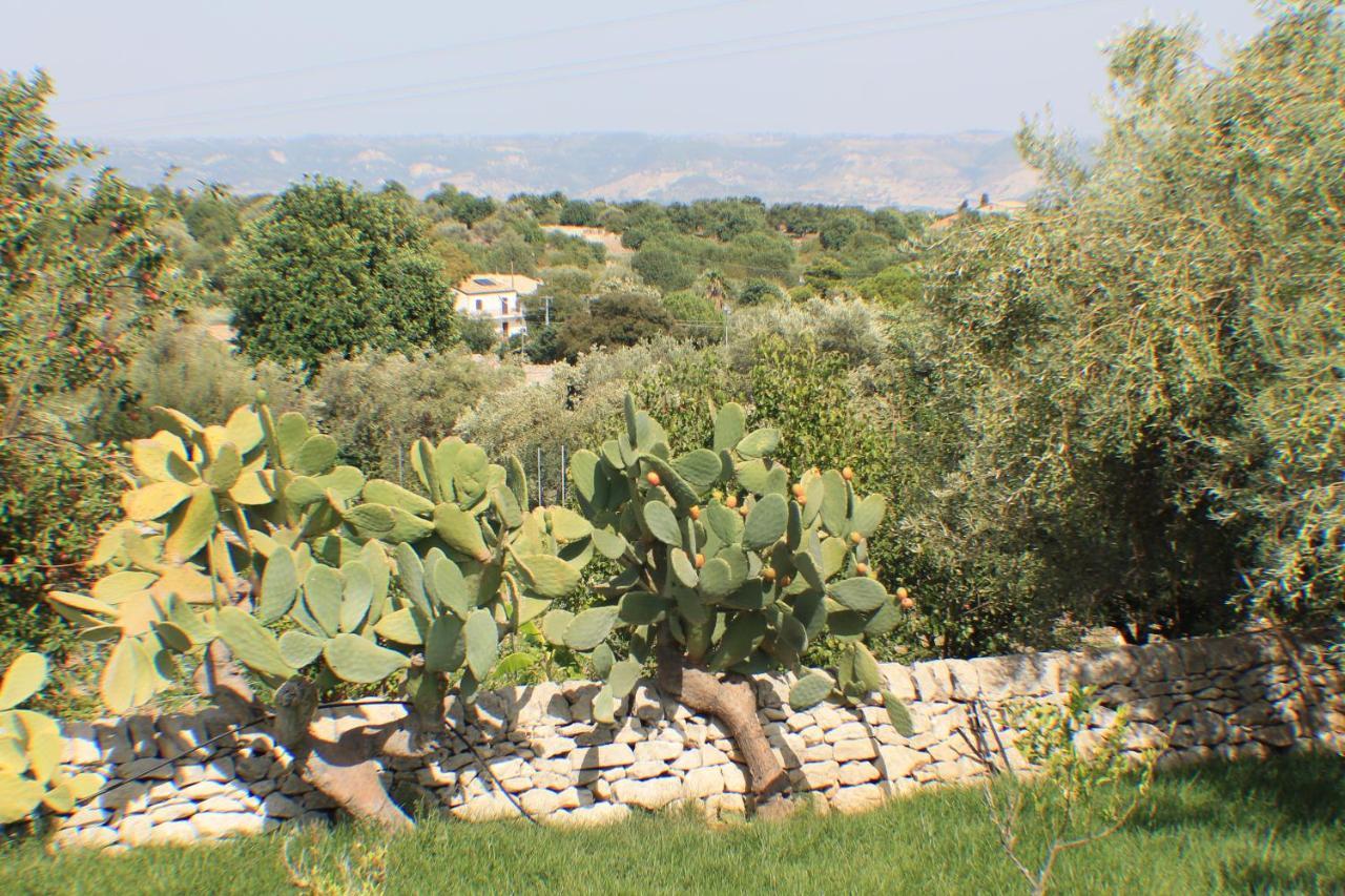 Agriturismo Le Due Palme Il Paradiso di Adamo Frigintini Esterno foto